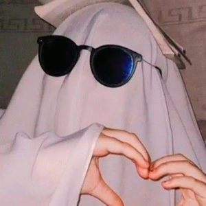 Meet your Posher, Marley